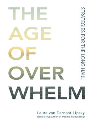 cover image of The Age of Overwhelm